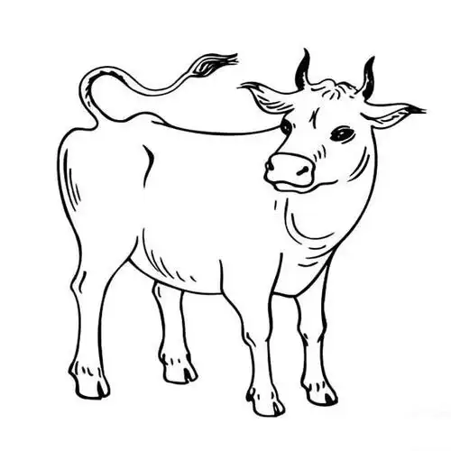 牛的简笔画图片大全