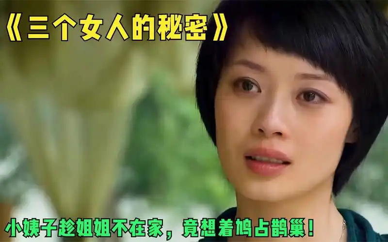 电视剧《三个女人的秘密》,小姨子趁姐姐不在家,竟想着鸠占鹊巢