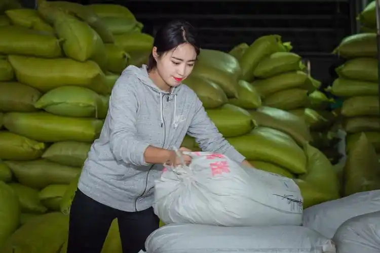 23岁农村女孩奋斗史:白手起家收废品年入百万,买车买房当老板