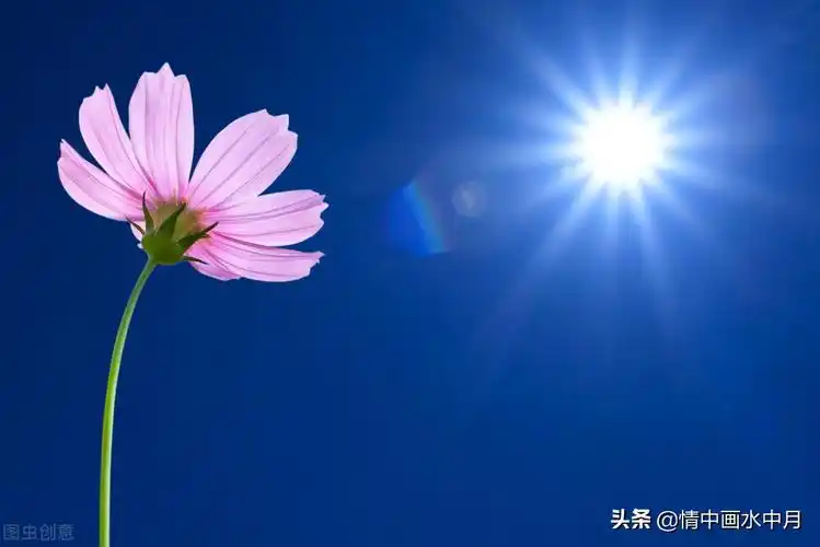 11字唯美的句子