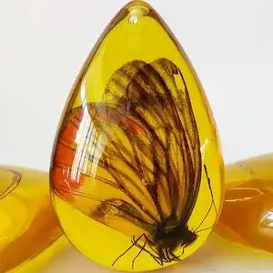 琥珀标本动物天然