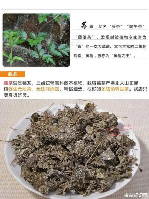 银藤茶,俗称长寿藤,观音草,苦甘露,野生藤茶等,系显齿蛇葡萄科