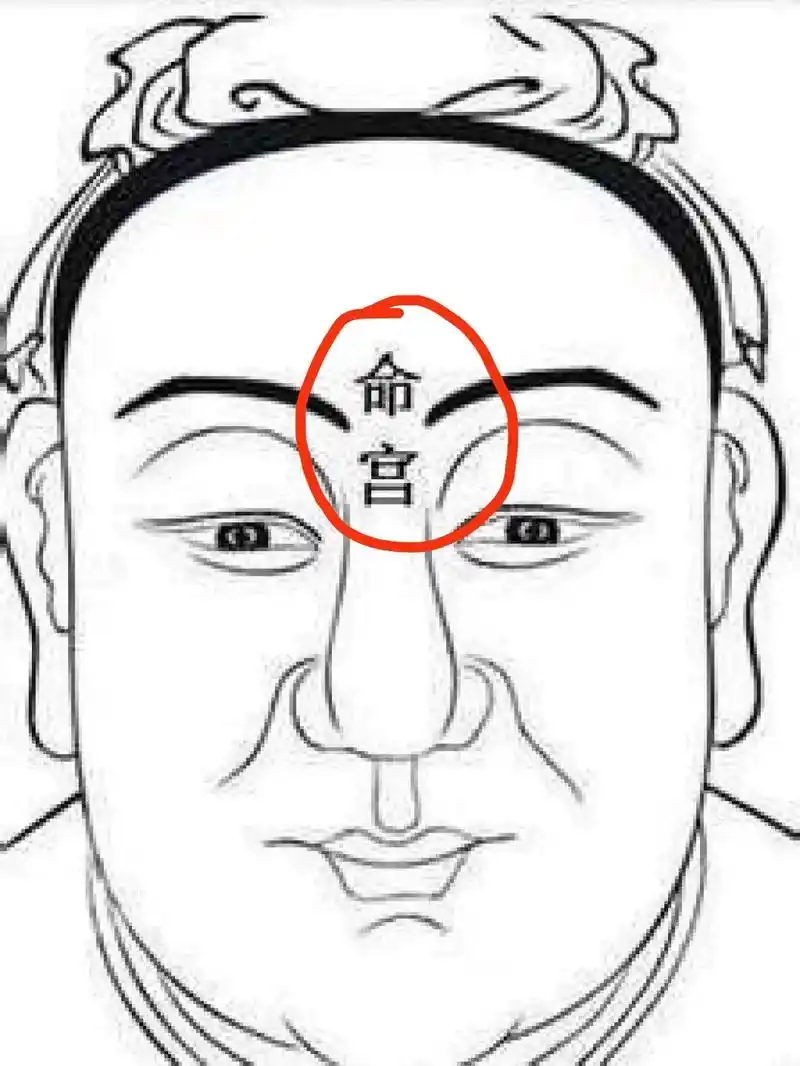 面相普及十二宫之:命宫,宫禄宫……命宫在双眉之间印堂位置,宫 - 抖音