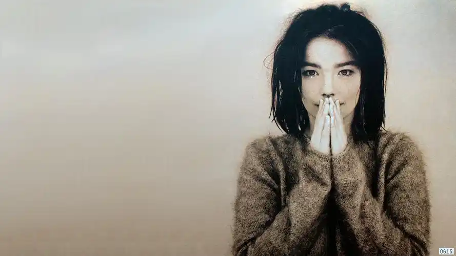 rk,women,music,album covers)壁纸图片