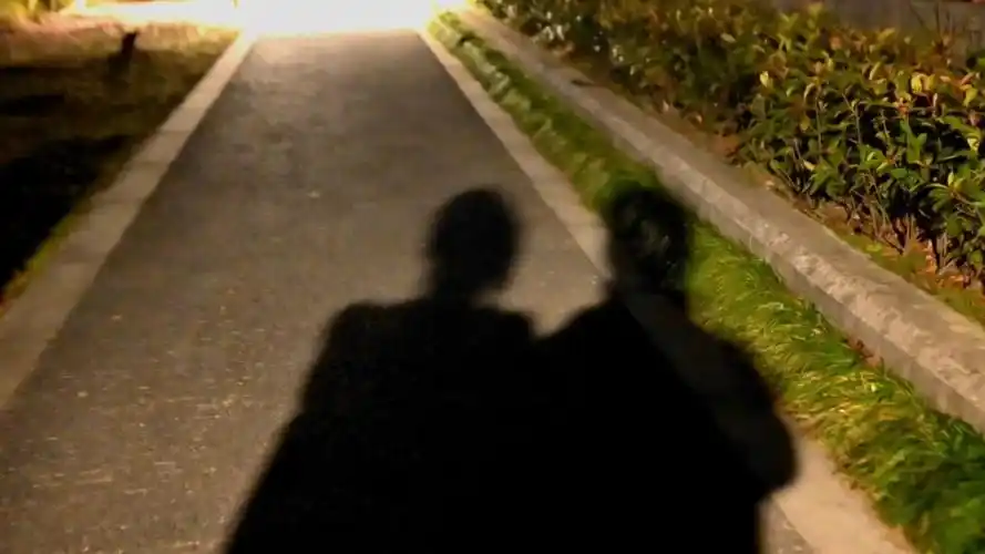 鲁迅先生式的浪漫:路灯下有两个影子,一个是我的,另一个也是我的#所遇