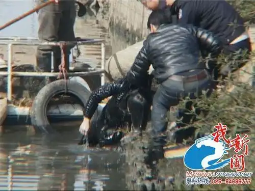 今晨南京下关一年轻女子投河自杀身亡警方已介入调查