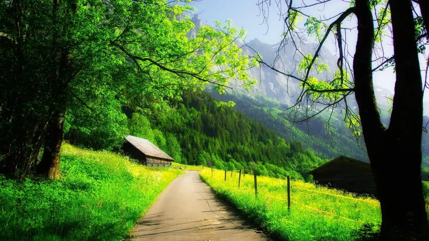 清新唯美绿色护眼高清风景桌面壁纸