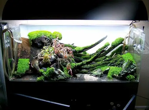 水草缸造景沉木水草泥化妆砂青龙石120cm尺寸设计107