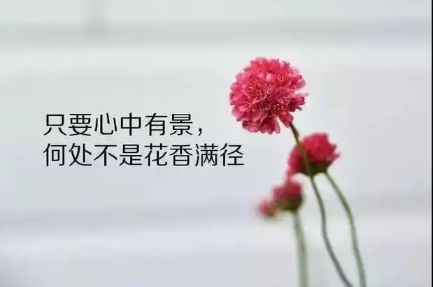哲理的句子经典语录短句快手经典句子