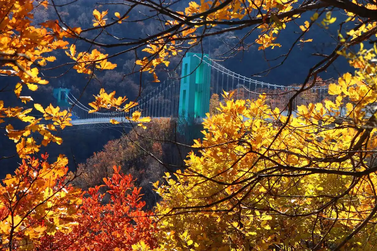 2021北京风景年票提前发布其中这8个景点最适合深秋打卡