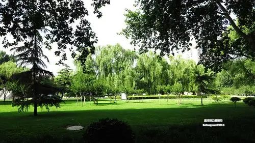 风景一组-北方的夏天