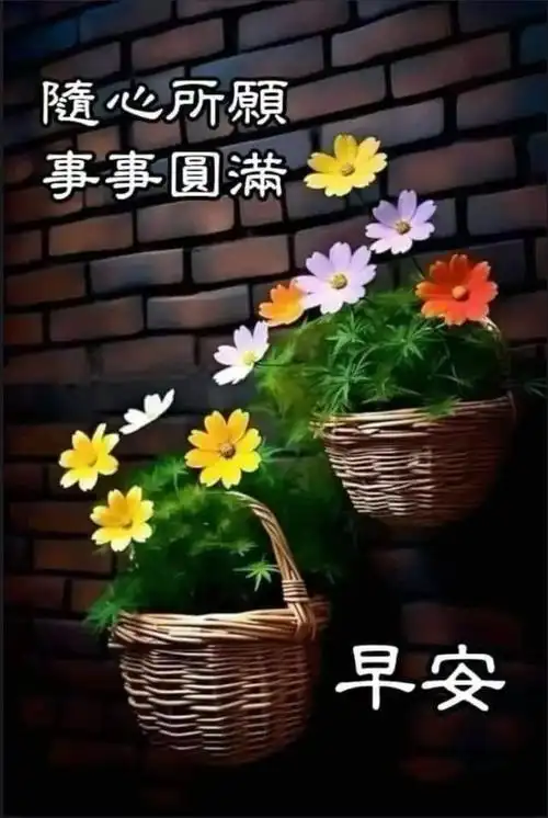 早安精美图片/我在当下,不负韶华.早上好图片