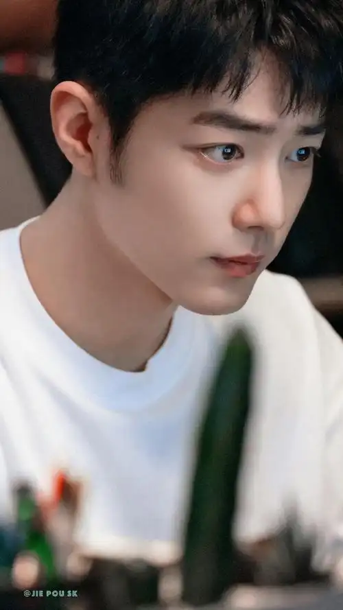 肖战##肖战郭靖##肖战电影射雕英雄传侠之大者##肖战法国限定记录