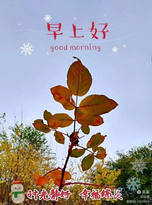 早安图片 - 美篇