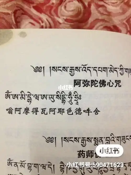 每个人最好能念诵阿弥陀佛心咒 "嗡 阿弥得瓦 阿依斯德吽舍" 30万遍.