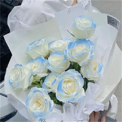 唯美高级感ins风鲜花背景图大全