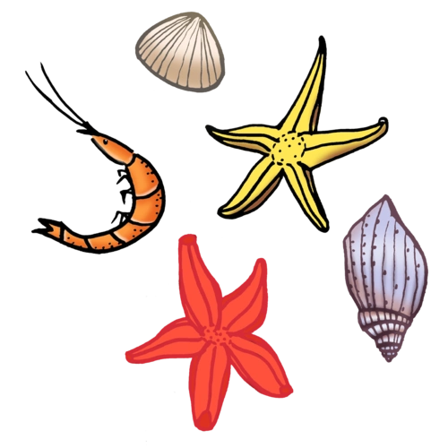 手绘卡通海鲜免抠素材图片