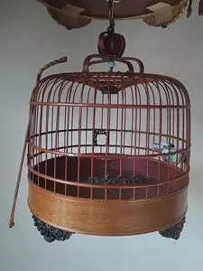 兰州山东王老百灵鸟笼一张,喜欢的朋友联系!