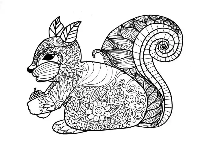 线描松鼠9715儿童画