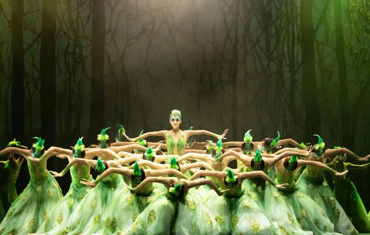 开启孔雀的奇幻之旅杨丽萍携舞剧作品孔雀将到羊城