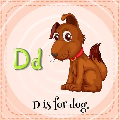 识字卡片上的字母d代表狗