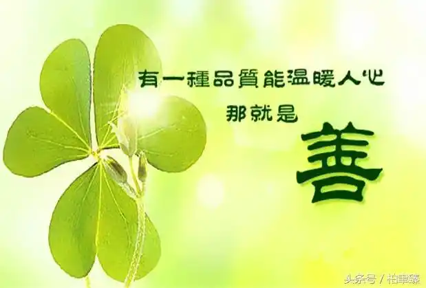 【美文欣赏】善良的人,选择了做羊,却总是遇上狼!