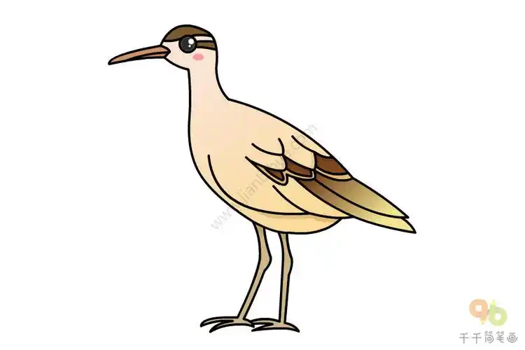 小杓鹬怎么画简笔画图解