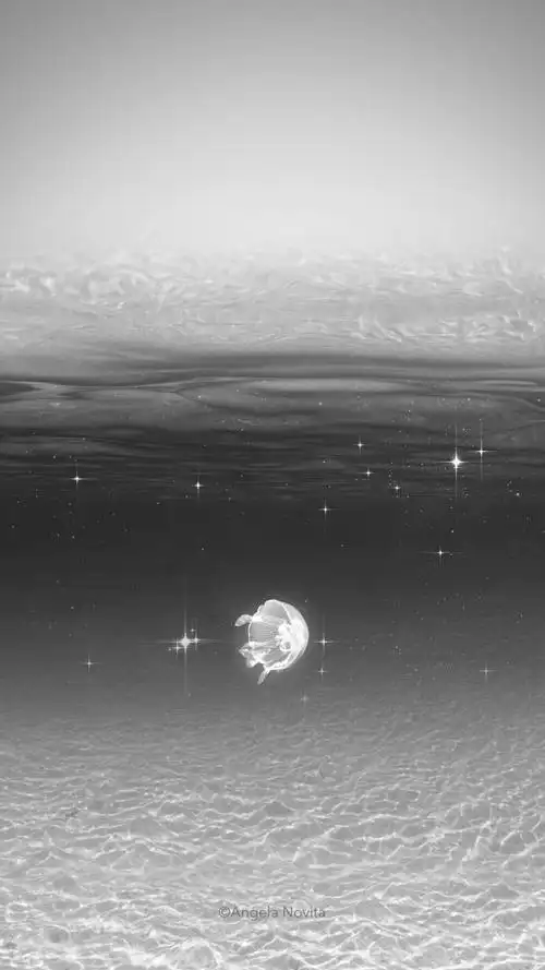 画质感人高清灰黑色意境唯美壁纸