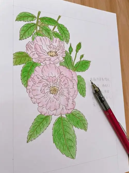 可约稿##简笔画#彩铅手绘#彩铅临摹#手绘临摹