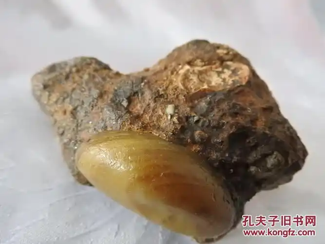 开创了玛瑙陨石新理论! 拍品编号:33002357