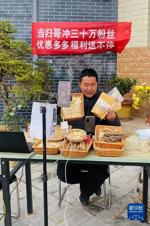 记者手记电商新农人的两个春耕