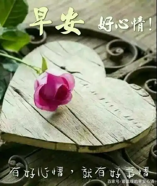 12月最新早安问候动态祝福语图片 带字带祝福的微信早上好句子