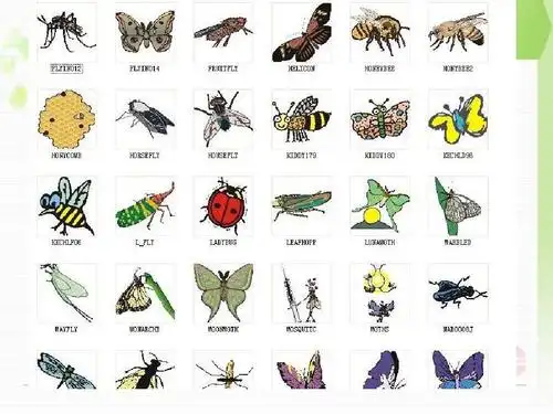 名著导读昆虫记ppt