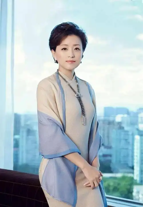 "改嫁富豪"杨澜不为人知的故事