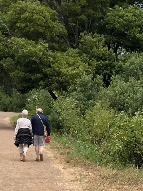 两位老人家白发鹤颜,行走自如,白首相携.