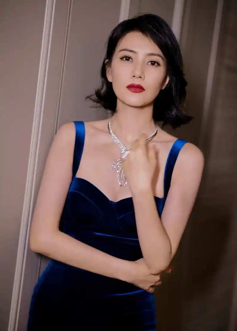 高圆圆 内地影视女演员,模特