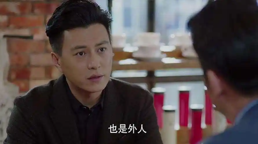 关于靳东我的前半生贺涵图片的信息