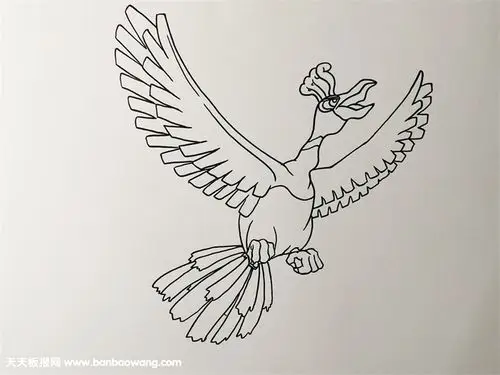 神奇宝贝凤王怎么画