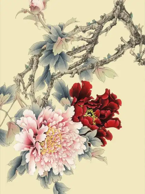 染色步骤 ➕ 白描图纸【国画牡丹花】2⃣️