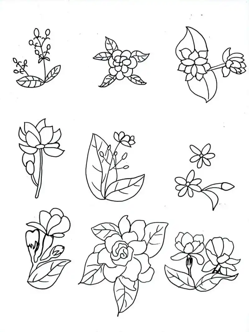 简笔画|植物篇手帐素材茉莉花|98/100 好一朵美丽的茉莉花…… 小时候