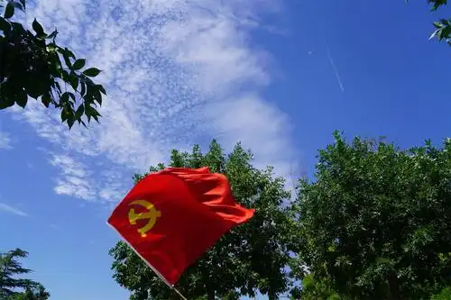 蓝天白云下,党旗在绿树的映衬下,格外鲜红夺目.(王桂敏)