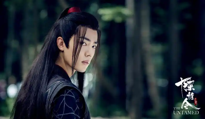 肖战 王一博 陈情令 - 堆糖,美图壁纸兴趣社区