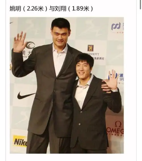 姚明和郭敬明没有合过影,但难不倒网友