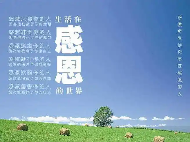 感恩生活赋予了我这两年惊慌失措的人生 感恩相遇 感恩一切 愿 - 抖音