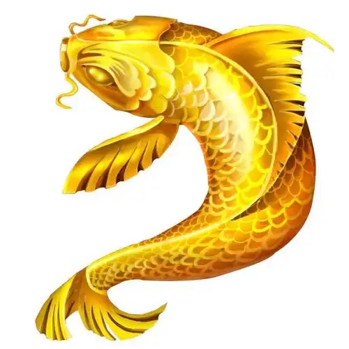 锦鲤黄金淡水冷水观赏鱼鱼苗转运招财镇红白大正鱼