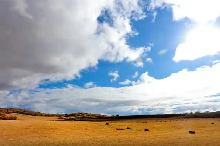 大草原,蓝天白云我的家