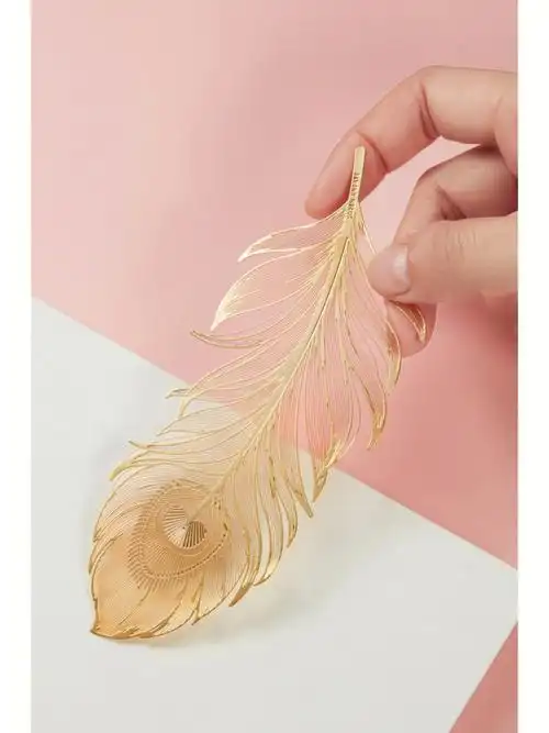 78一根羽毛的世界