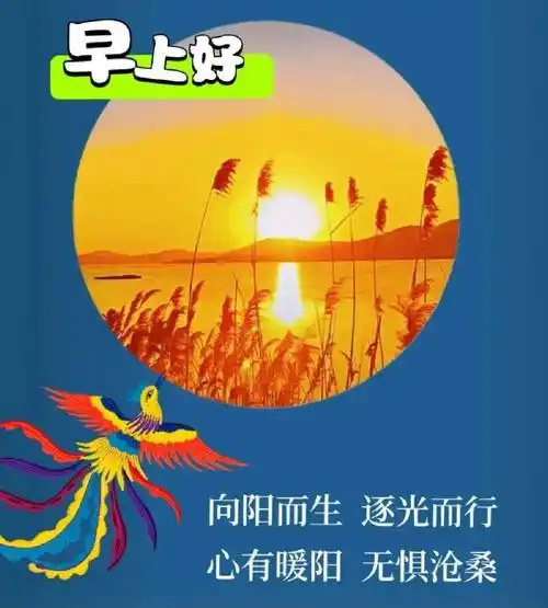 12月21日周三早上好,精选早安群发祝福图片带字带暖心的问候_平安
