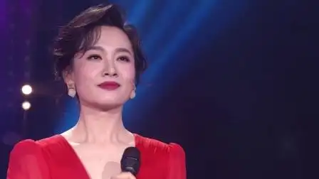 杨燕婷 《花月满人间》