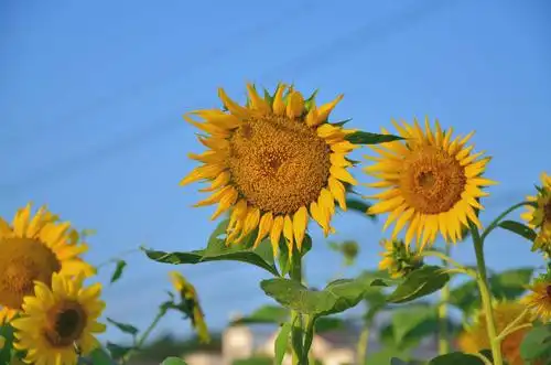 2020拍的一些照片